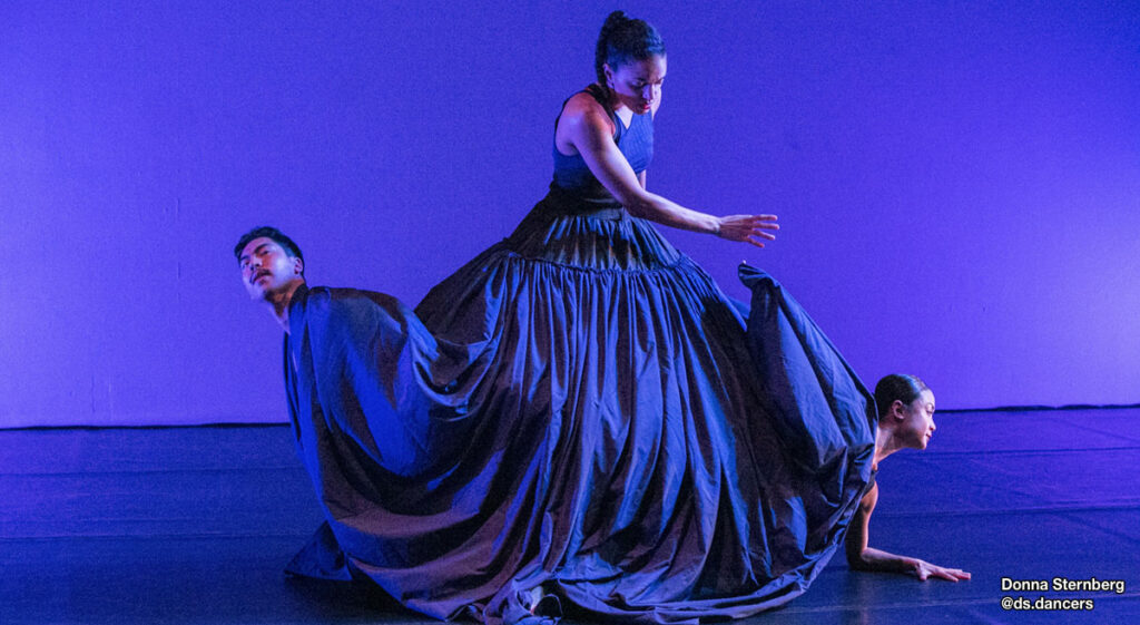 Dancers from @ds.dancers surrounding female dancer in long blue dress.